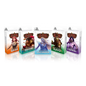 Flesh and Blood TCG - Silver Age Deck Chapter 1 (5 verschiedene Decks) Englisch